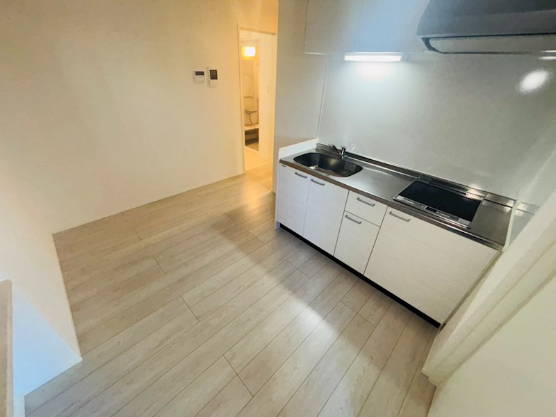 ＬＯＴＵＳ その他21