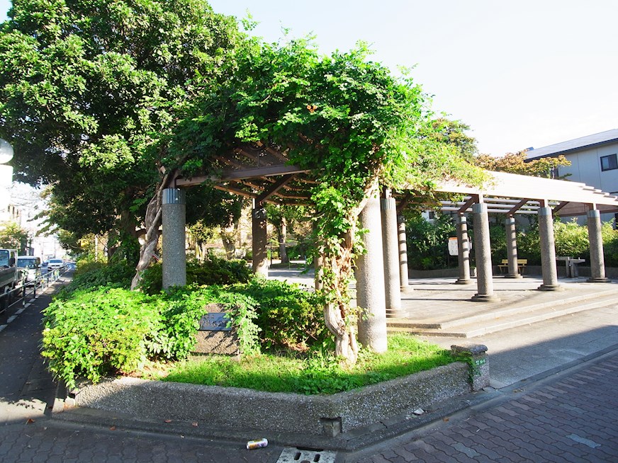 seawave東綾瀬 周辺画像6