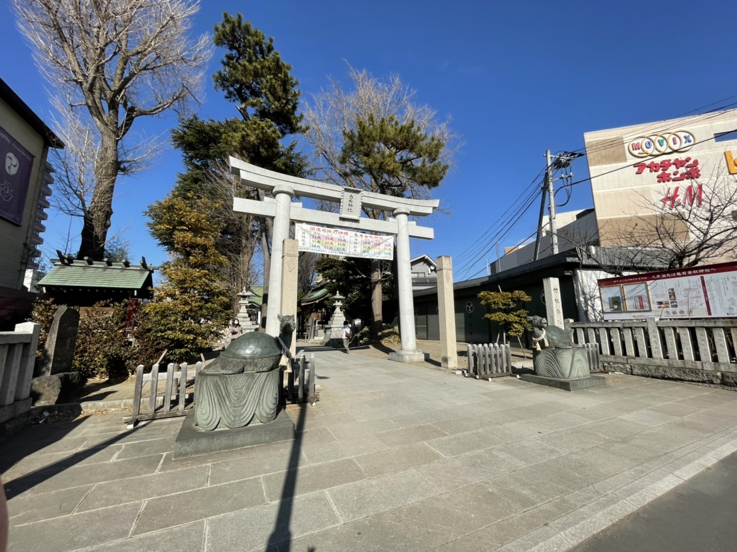 シエラグランデ亀有 周辺画像6