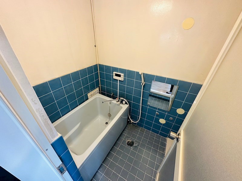 ワコー第9梅田マンション 風呂画像