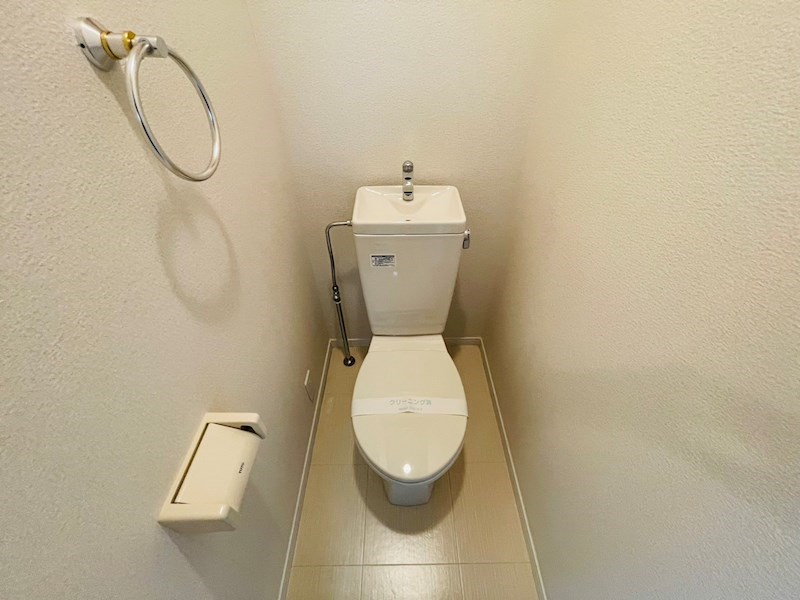 サンフラワー その他1