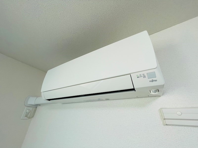 サンフラワー その他6