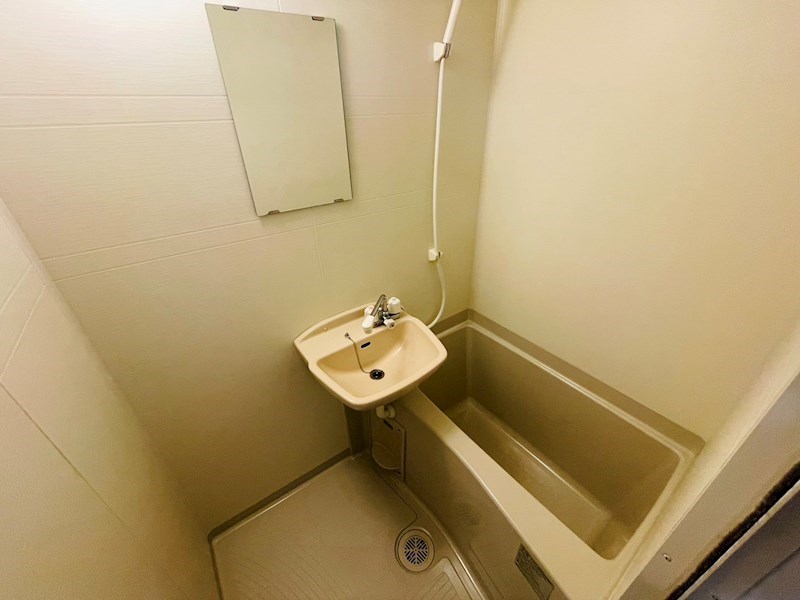 サンフラワー その他11