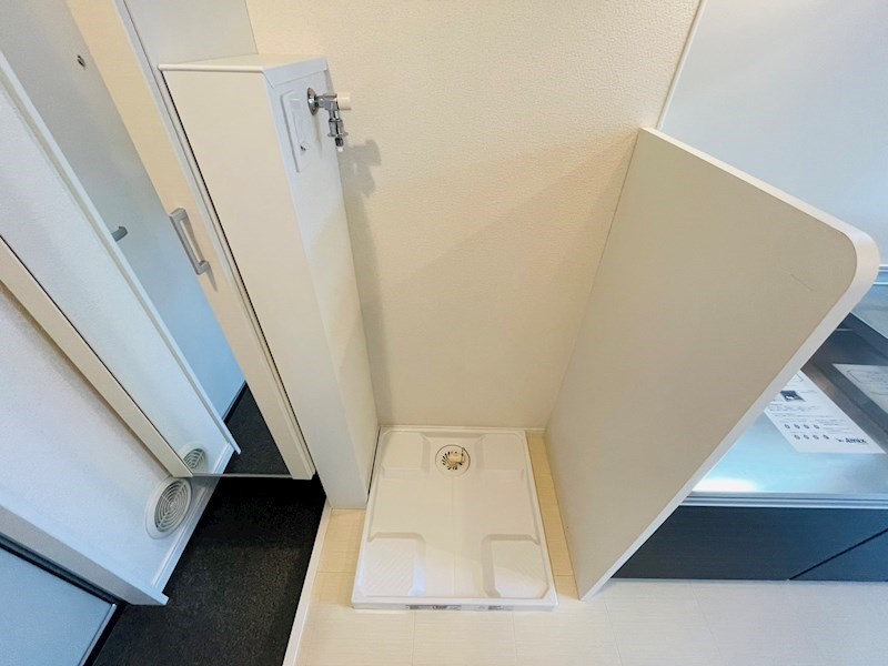 サンフラワー その他16