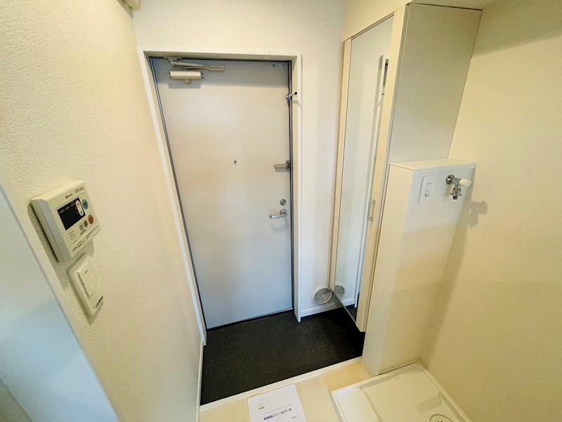 サンフラワー その他18