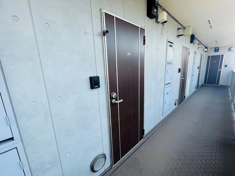 サンフラワー その他21