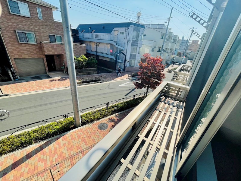 サンフラワー その他23