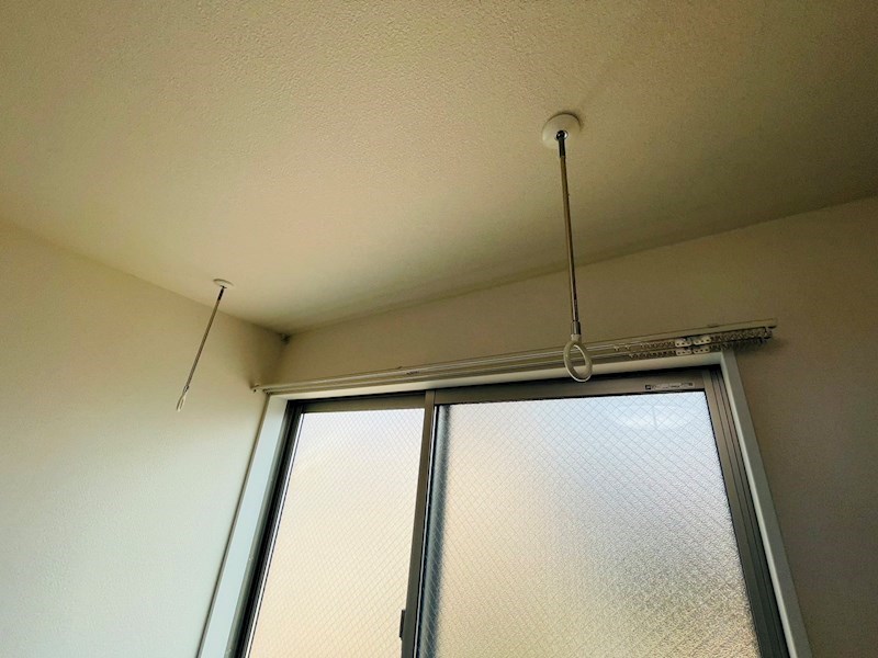 サンフラワー その他25