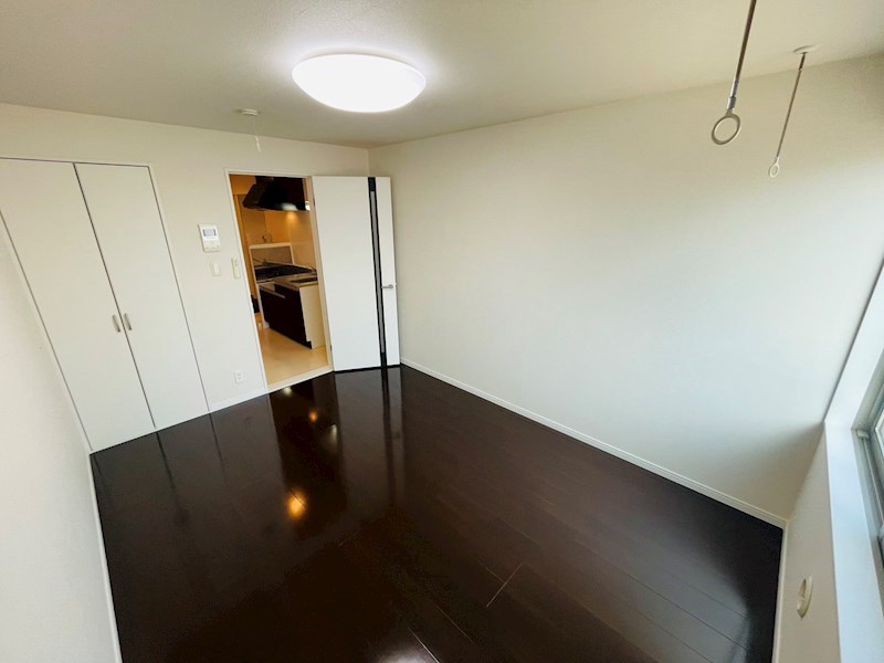 サンフラワー その他27