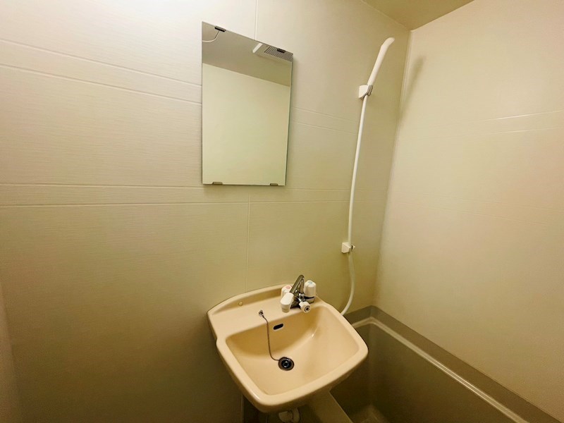 サンフラワー その他2