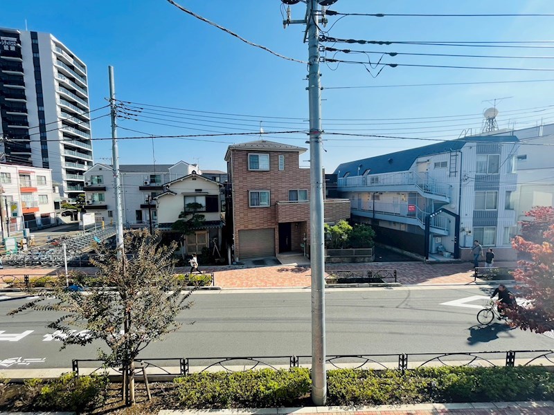 サンフラワー その他7