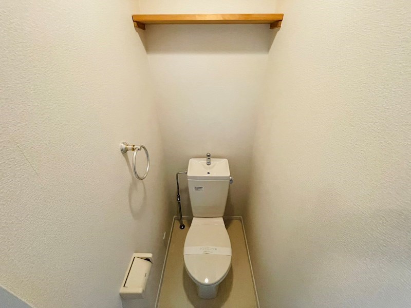 サンフラワー その他9