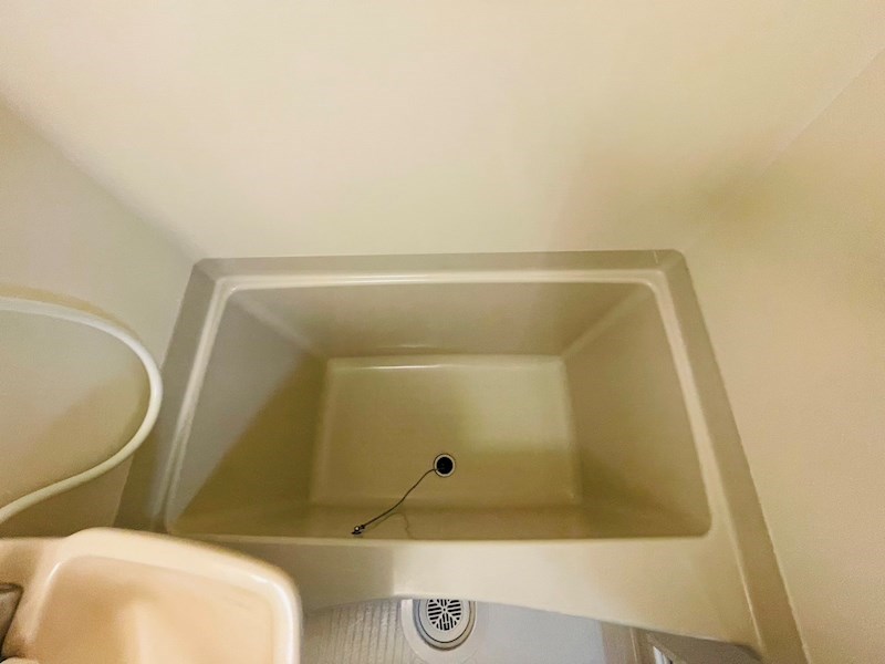 サンフラワー その他10