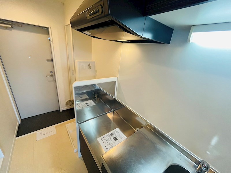 サンフラワー その他12