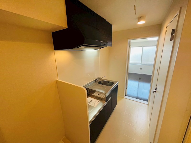 サンフラワー その他15