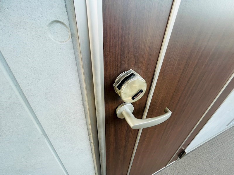 サンフラワー その他19