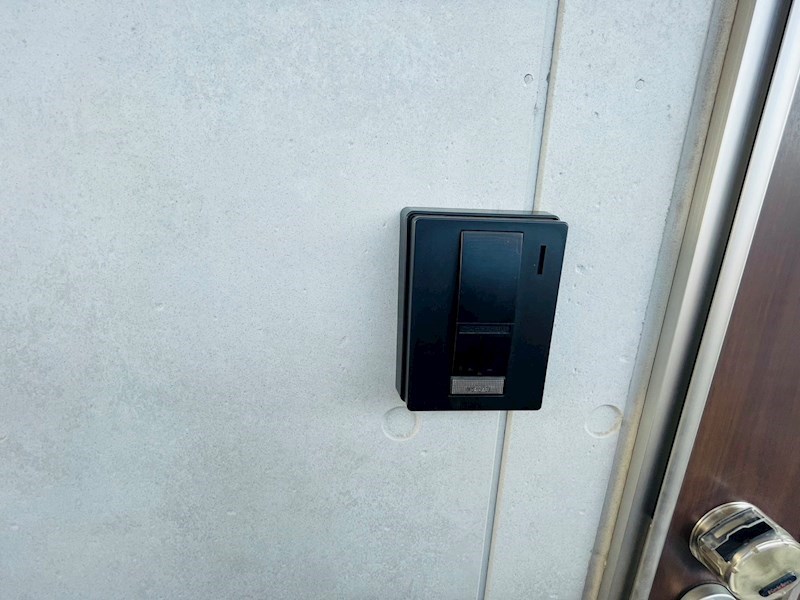 サンフラワー その他20