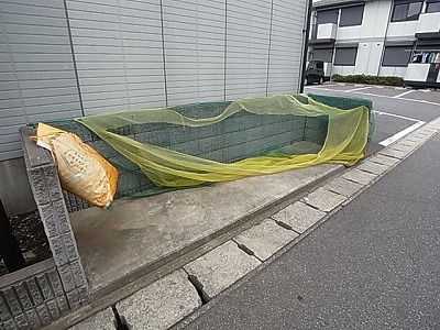 ピュアタウン南逆井Ｃ その他外観4