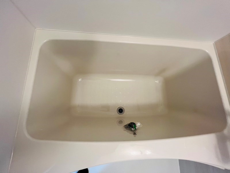 グランシーズ天王台 その他19