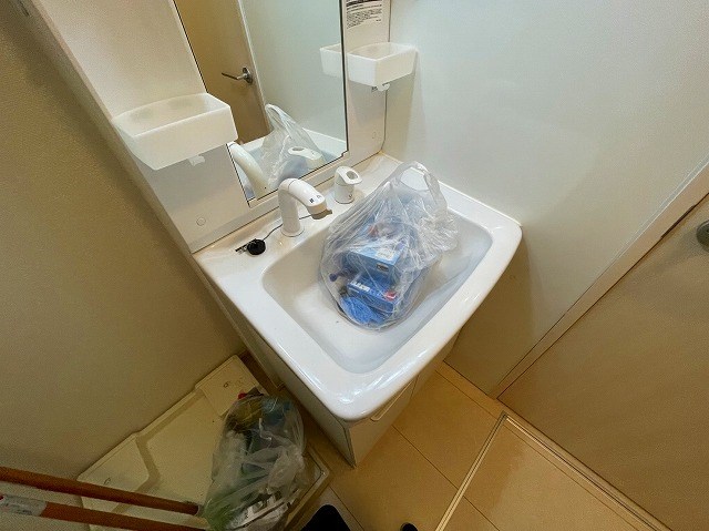 ルピナスＡ その他10