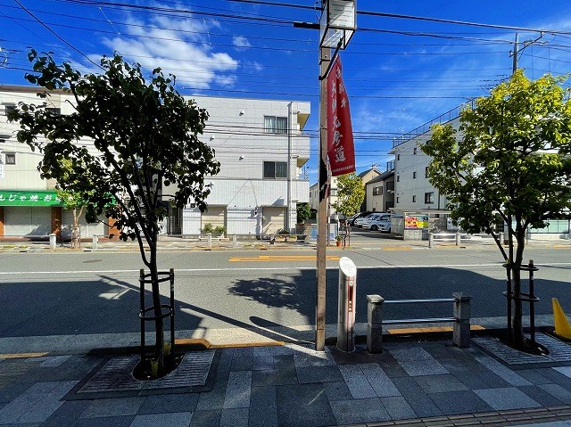 ルピナスＡ その他24