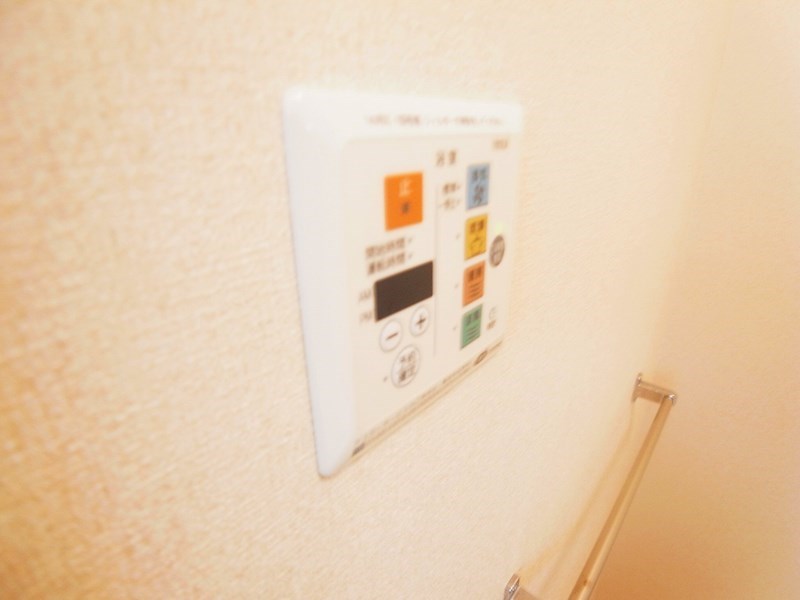 FOREST WIND その他8
