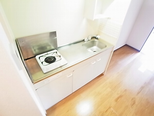 シャンドフルールⅡ その他12