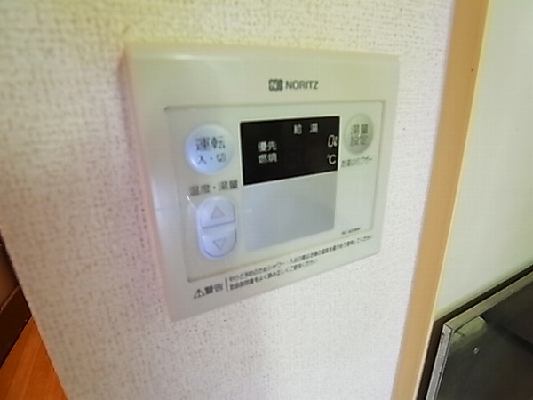 シャンドフルールⅡ その他19