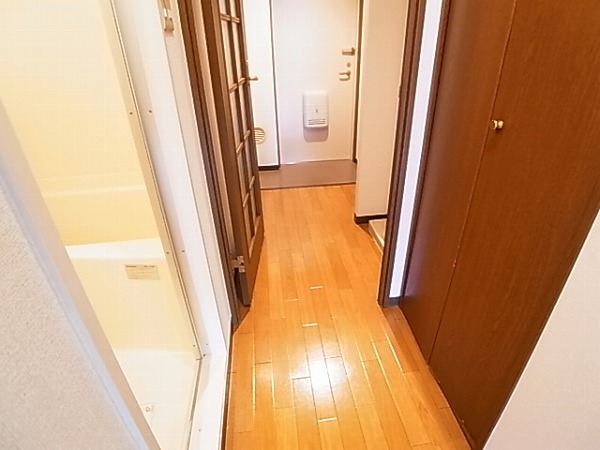 シャンドフルールⅡ その他20