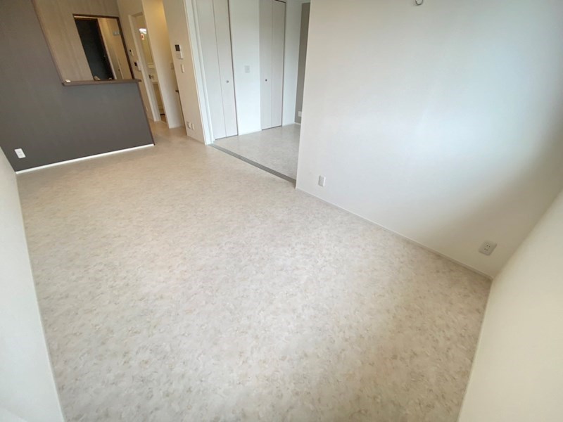 Y・ノヴェルB その他8