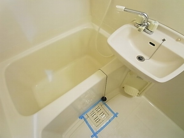 プランタン柏 その他2