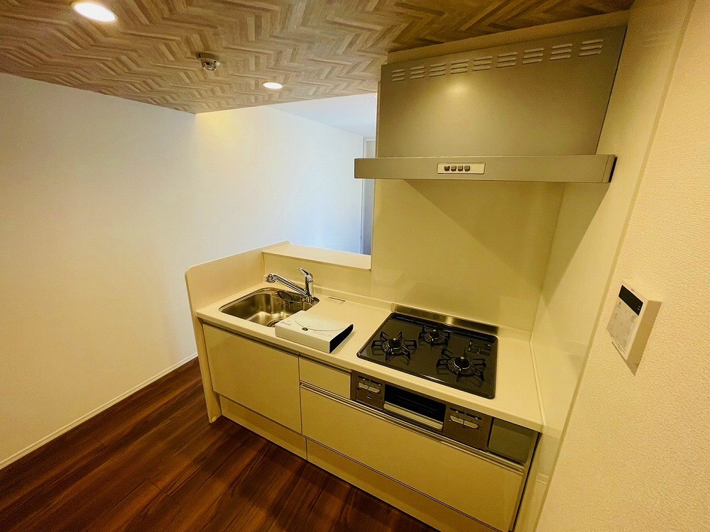 セレスティア扇Ⅰ その他16