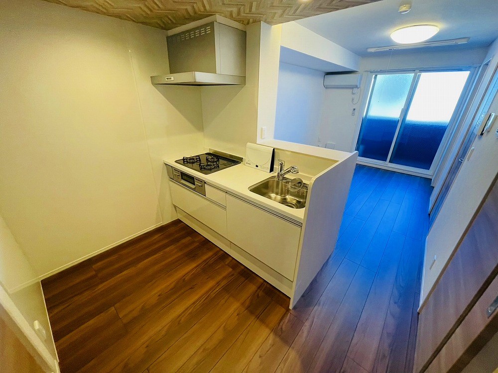 セレスティア扇Ⅰ その他11