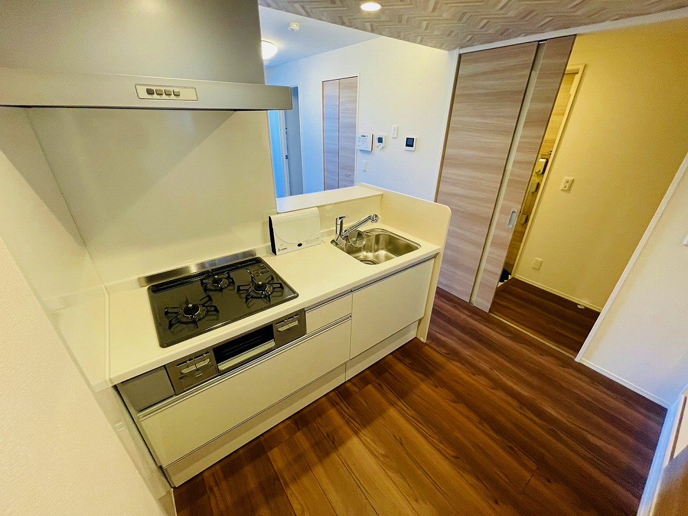 セレスティア扇Ⅰ その他12