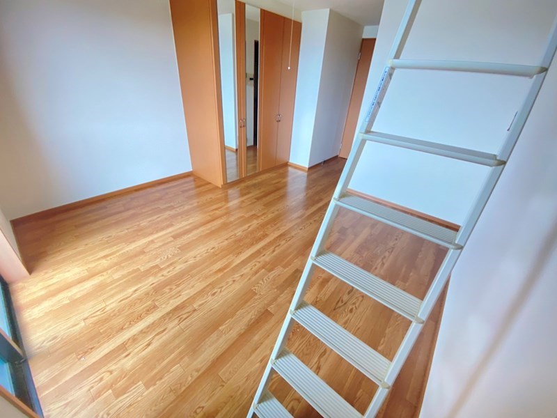 グリーンキャッスルⅡ その他20