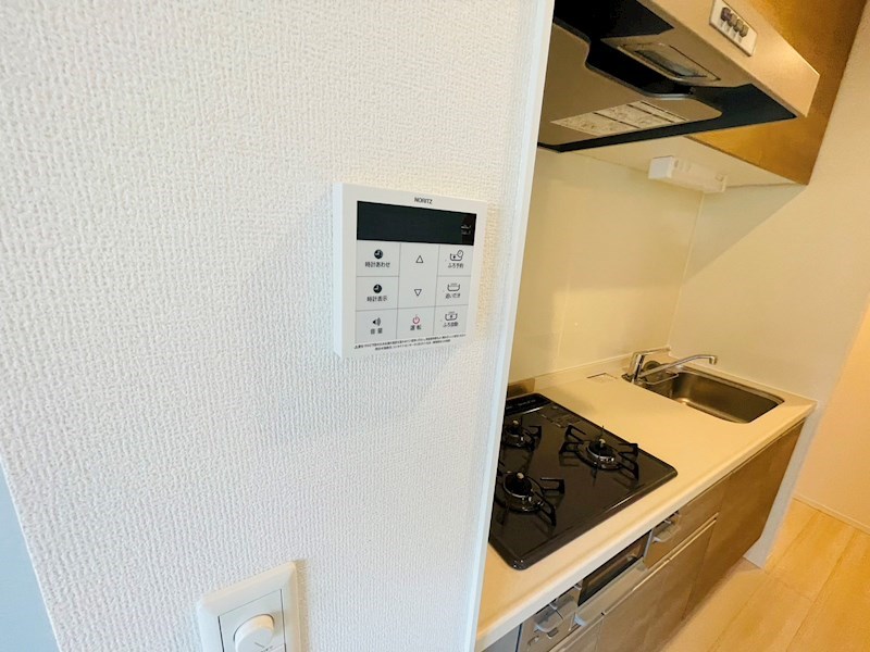 ルリアン谷中 その他12