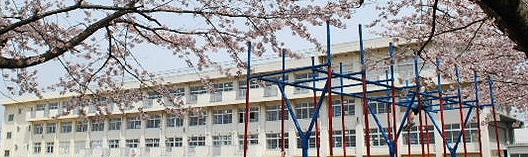 ボン　フェリシア 周辺画像5