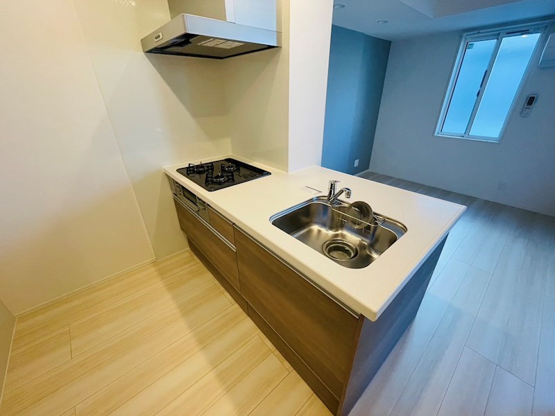 ルリアン谷中 その他12