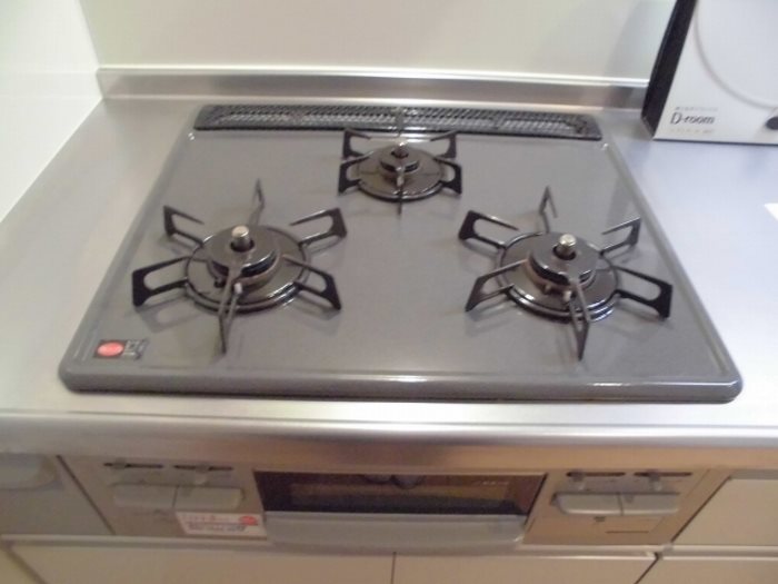 レクレドール その他9