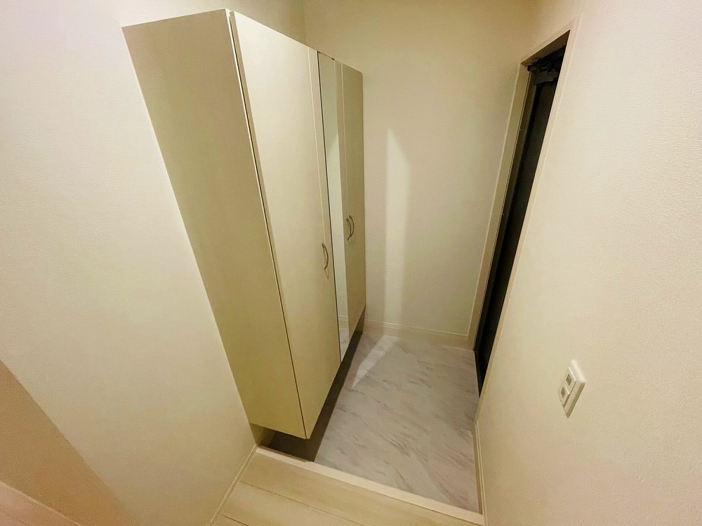 セレスティア扇Ⅱ その他8