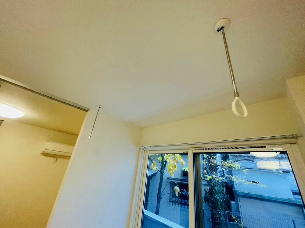 セレスティア扇Ⅱ その他20