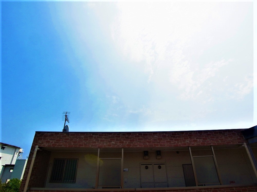 ピエールマルミット2 その他7