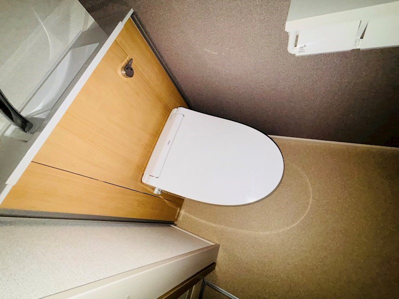 ルピナス その他1