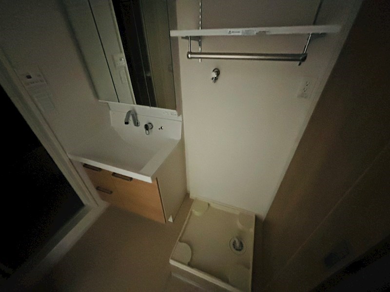 ルピナス その他2