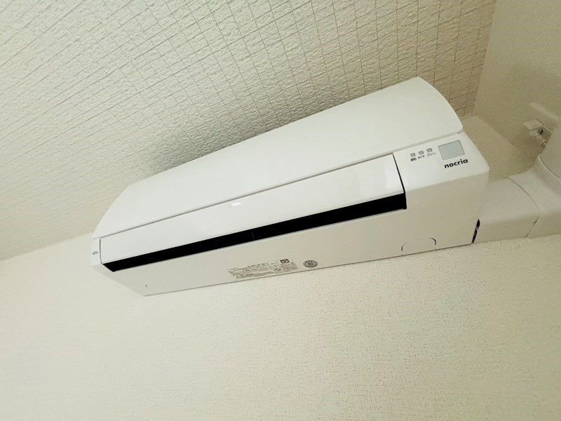 ルピナス その他5