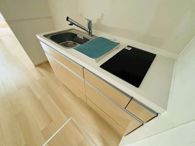 ルピナス その他14