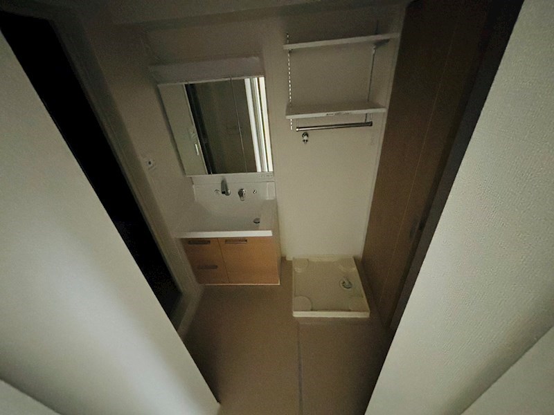 ルピナス その他20