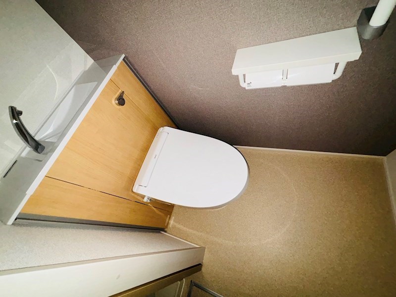 ルピナス その他21