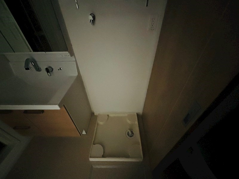 ルピナス その他22