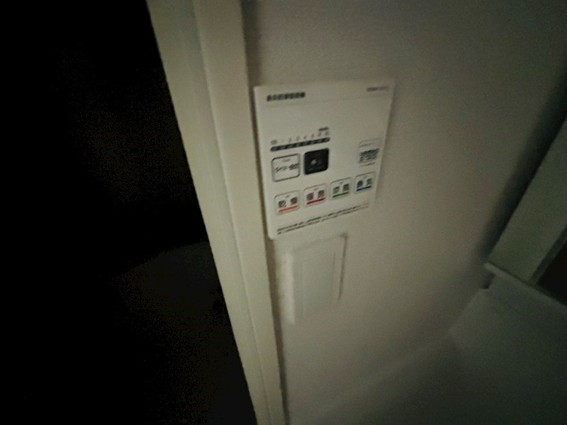 ルピナス その他23